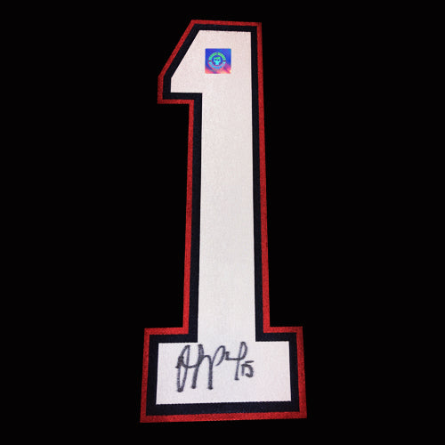 Joffery Lupul Autographed Edmonton Oilers Jersey Number